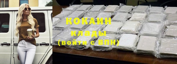 прущие грибы Сясьстрой