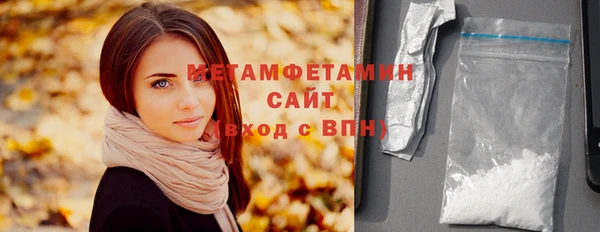 прущие грибы Сясьстрой