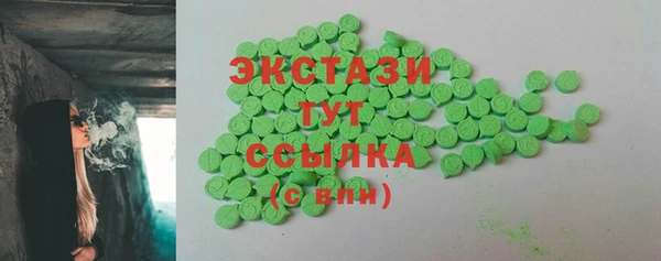 соль ск Тайга