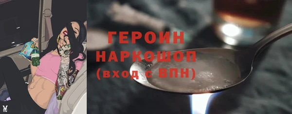 соль ск Тайга