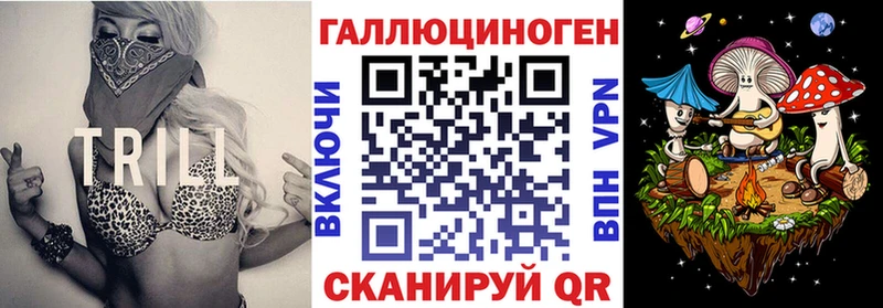 Купить  Карачев  Галлюциногенные грибы Psilocybe 